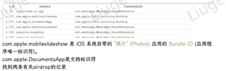 assets/2025美亚线下个人Joyooo/file-20251130205959491.png