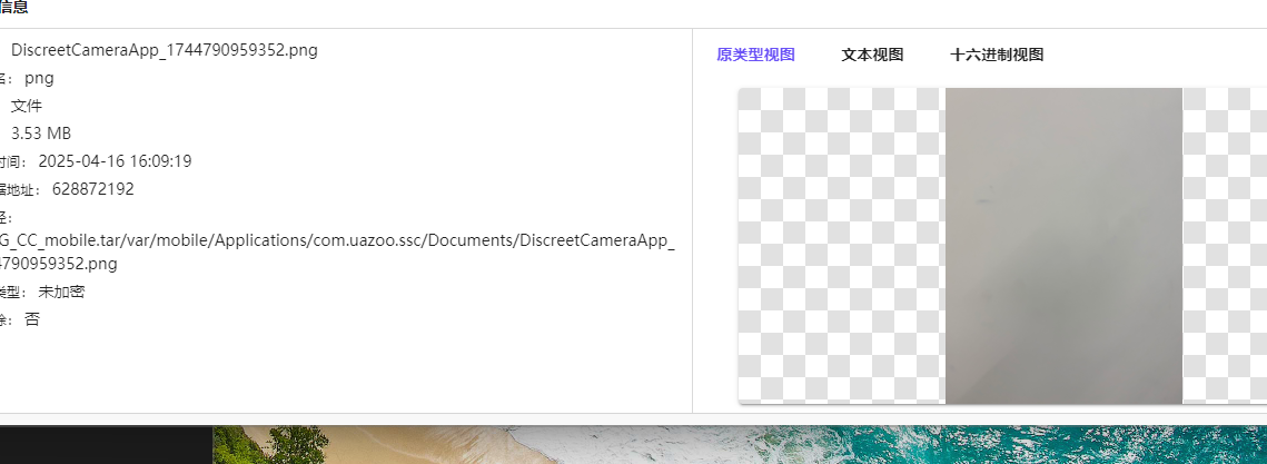 assets/2025美亚线下个人Joyooo/file-20251201140418012.png