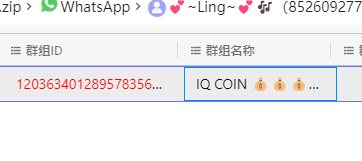 assets/2025美亚线下个人Joyooo/file-20251201185538532.png