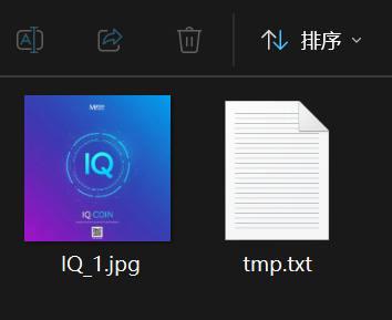 assets/2025美亚线下个人Joyooo/file-20251201211843707.png