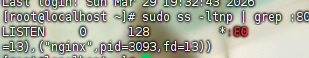 assets/三月社团赛/file-20260329193928992.png