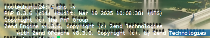 assets/2025盘古石杯决赛/file-20260325150557625.png